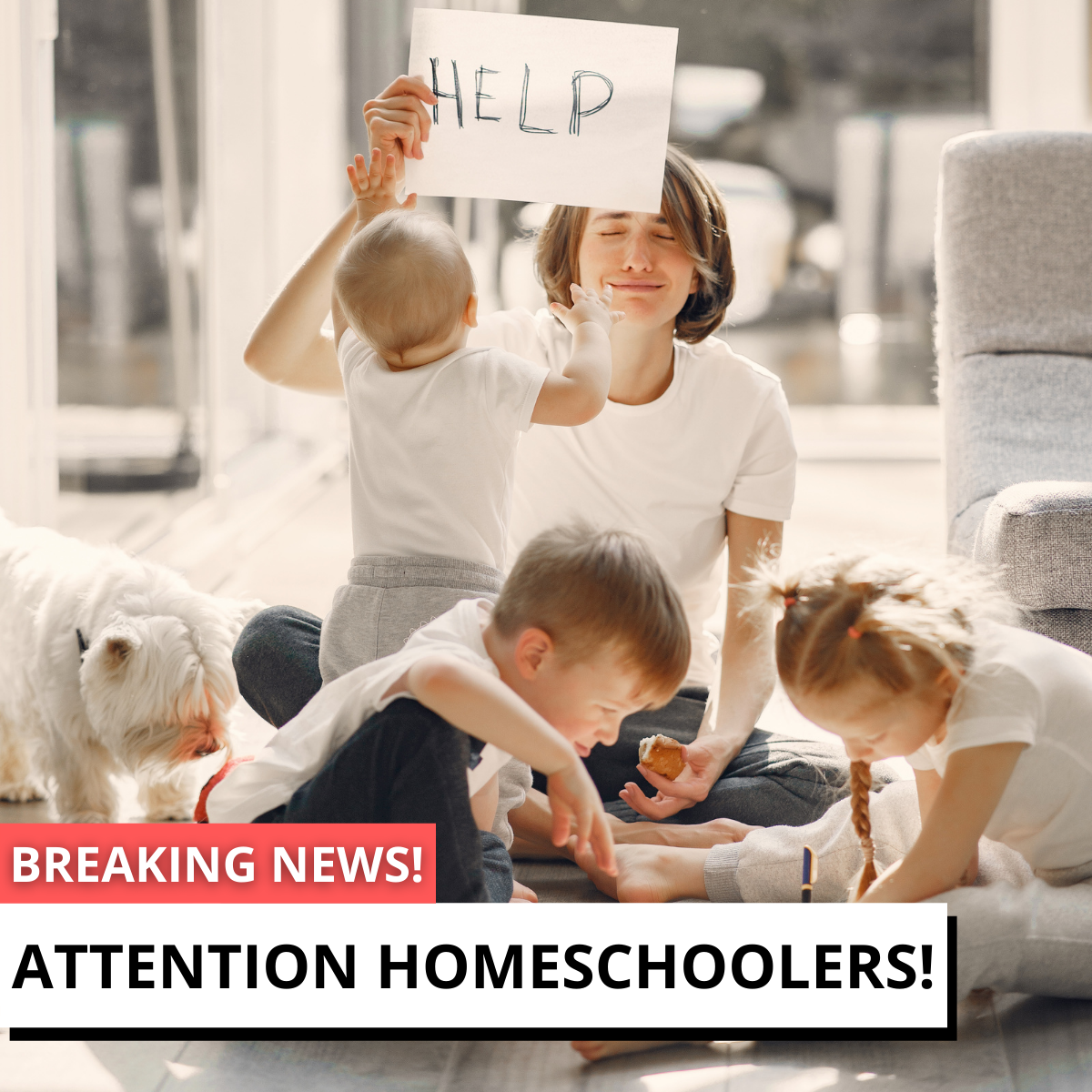 How To Successfully Homeschool Your Child
